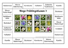 Bingo-Frühlingsblüten-7.pdf